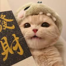Avatar của Nguyễn Văn Minh